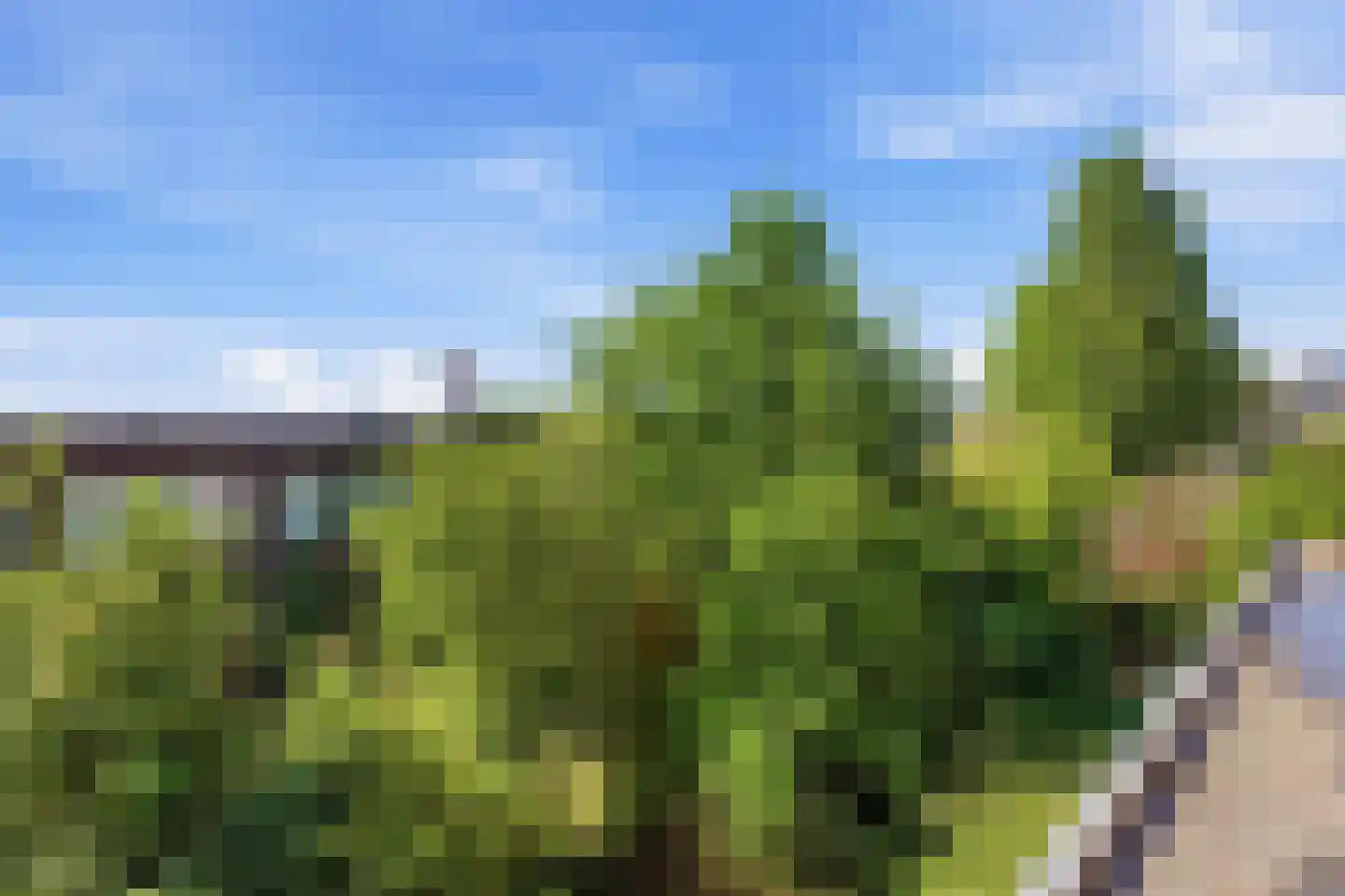 Azaleastraat 82 B Rotterdam thumbnail 38