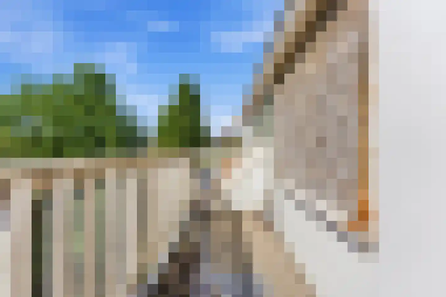 Azaleastraat 82 B Rotterdam thumbnail 39
