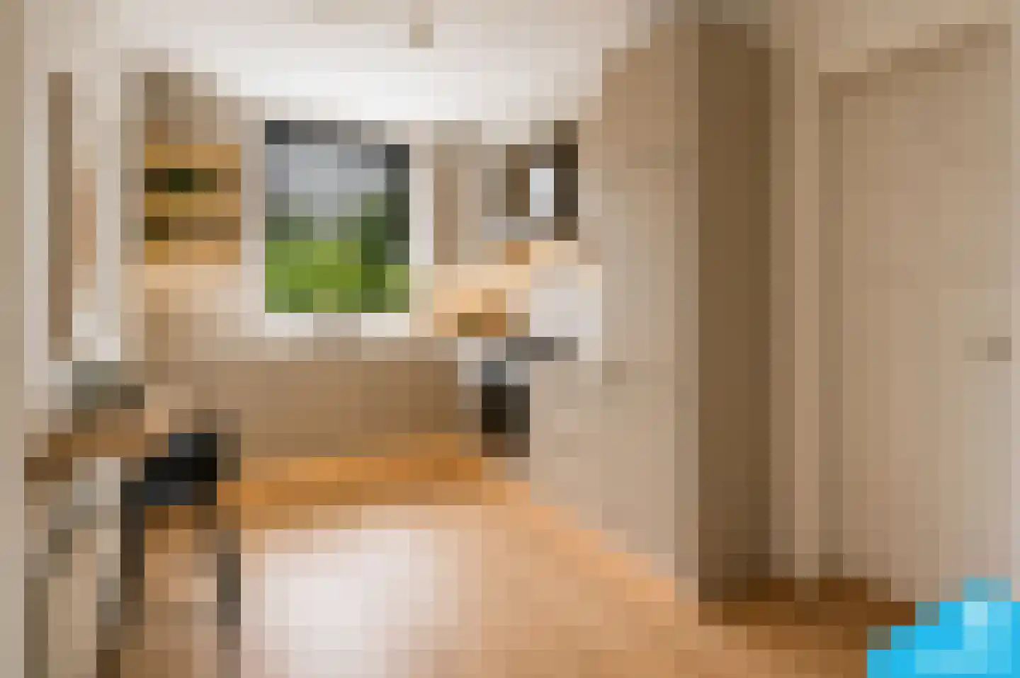 Azaleastraat 82 B Rotterdam thumbnail 5
