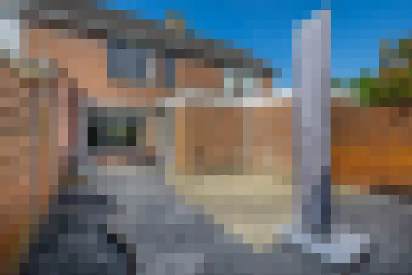 Azaleastraat 83 Stellendam thumbnail 33