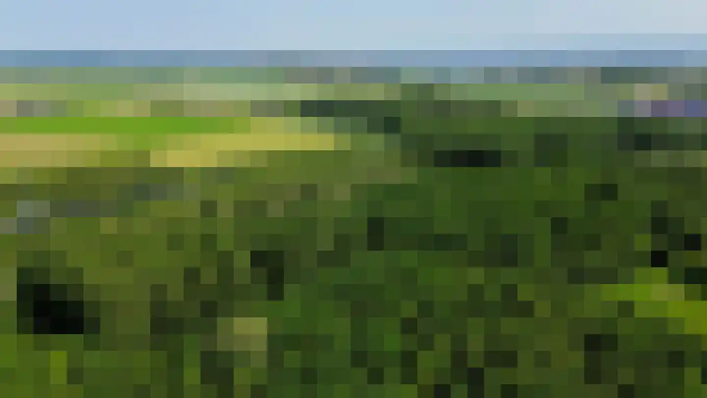 Azaleastraat 83 Stellendam thumbnail 42