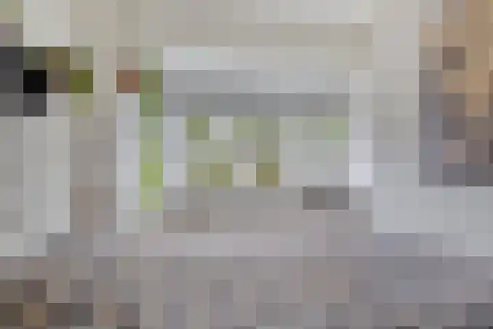 Azaleastraat 85 Leeuwarden thumbnail 16