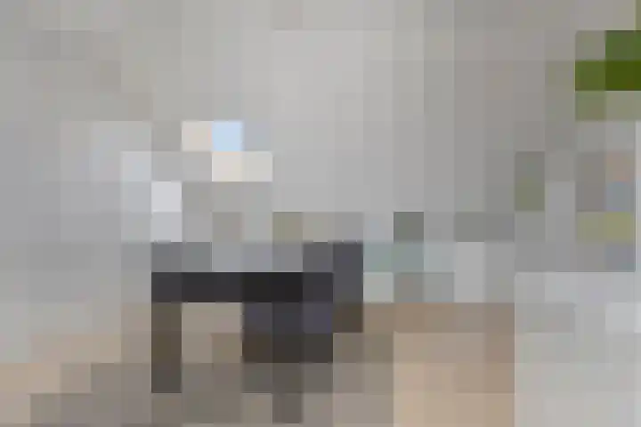 Azaleastraat 85 Leeuwarden thumbnail 23