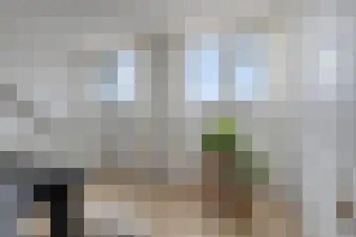 Azaleastraat 85 Leeuwarden thumbnail 25