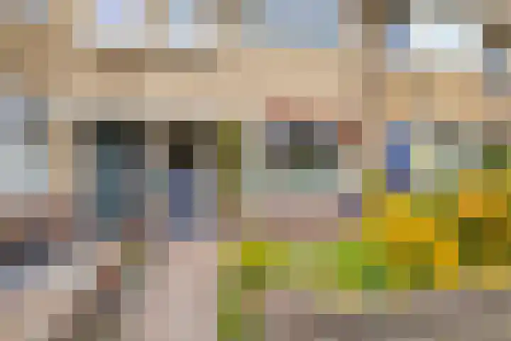 Azaleastraat 85 Leeuwarden thumbnail 31