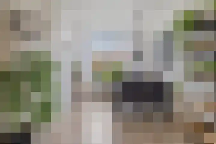 Azaleastraat 85 Leeuwarden thumbnail 7