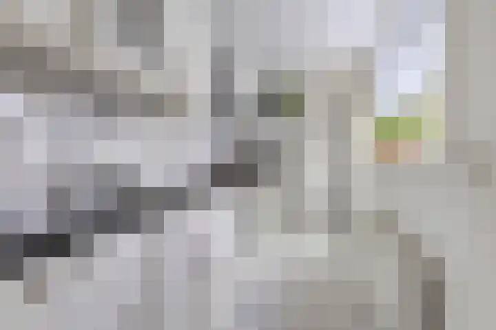 Azaleastraat 85 Leeuwarden thumbnail 9