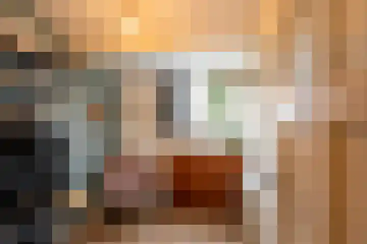 Azaleastraat 88 A Rotterdam thumbnail 21