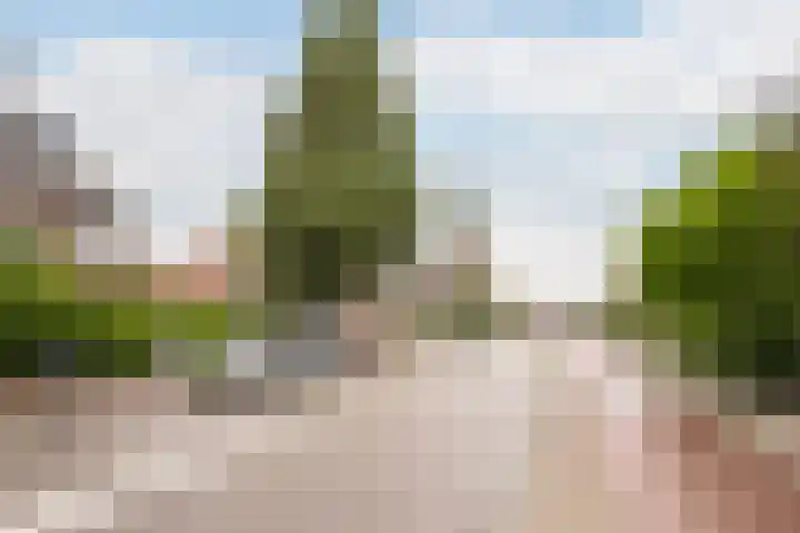 Azaleastraat 88 A Rotterdam thumbnail 31