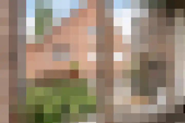 Azaleastraat 88 A Rotterdam thumbnail 7