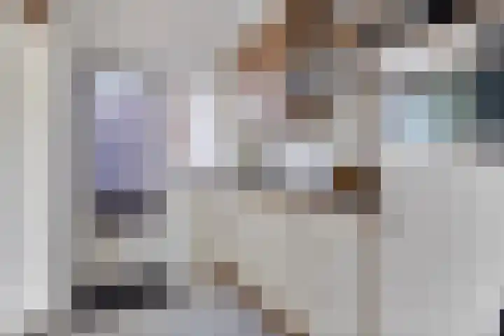 Azaleastraat 9 Terneuzen thumbnail 10