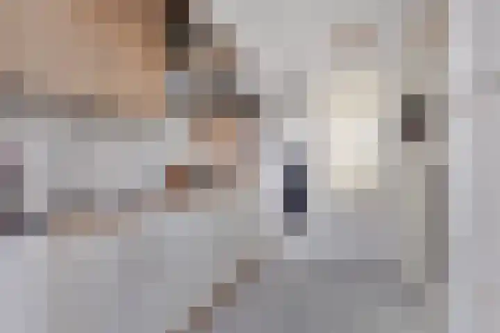 Azaleastraat 9 Terneuzen thumbnail 11