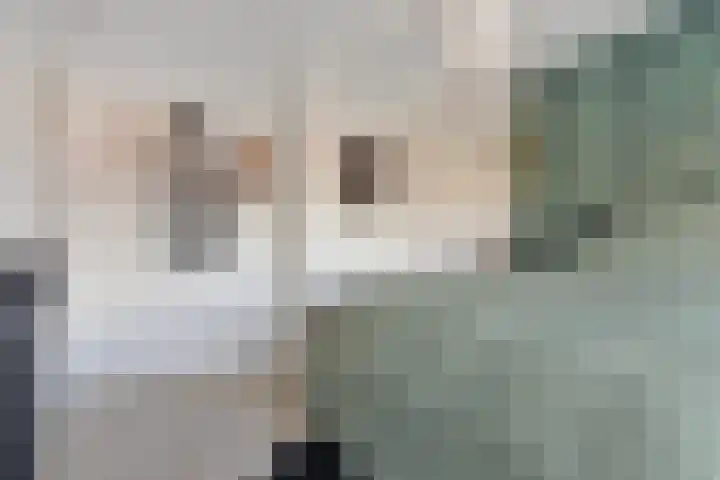 Azaleastraat 9 Terneuzen thumbnail 15