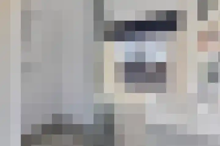 Azaleastraat 9 Terneuzen thumbnail 18
