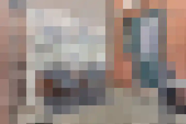 Azaleastraat 9 Terneuzen thumbnail 19
