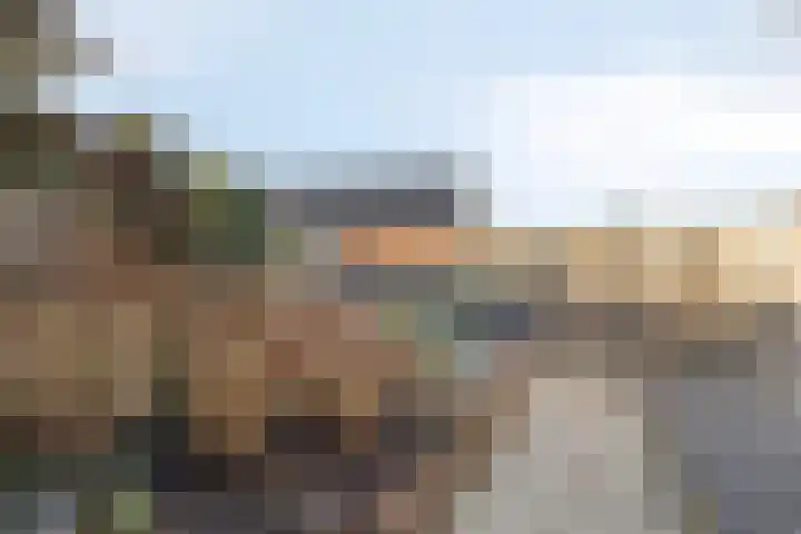 Azaleastraat 9 Terneuzen thumbnail 22