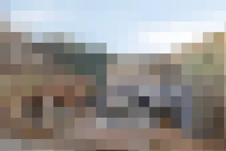 Azaleastraat 9 Terneuzen thumbnail 23