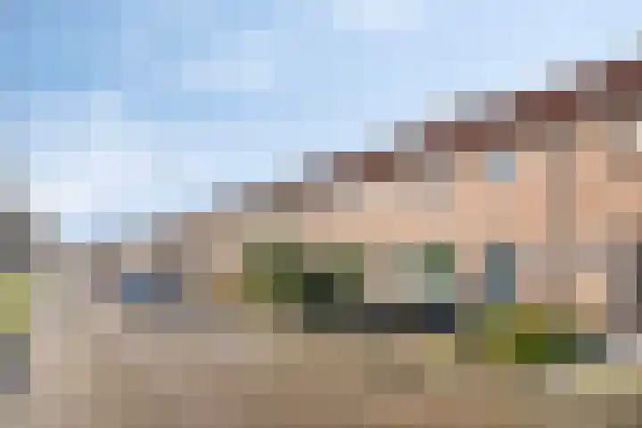 Azaleastraat 9 Terneuzen thumbnail 26