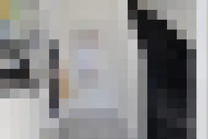 Azaleastraat 9 Terneuzen thumbnail 6