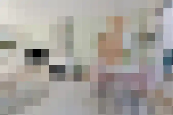 Azaleastraat 9 Terneuzen thumbnail 8