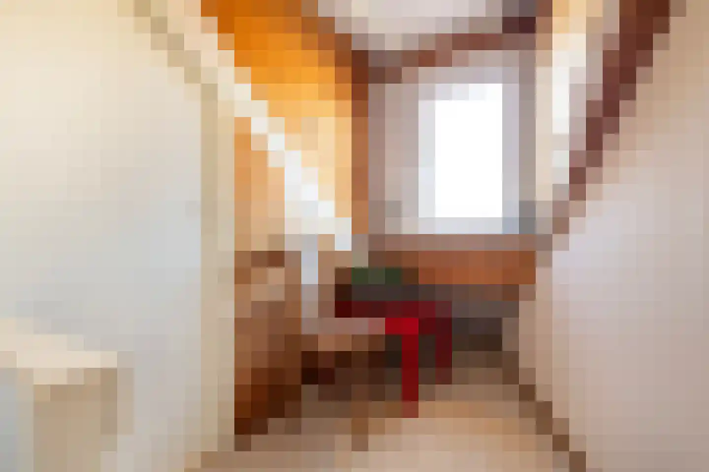 Azaleastraat 91 Leeuwarden thumbnail 37