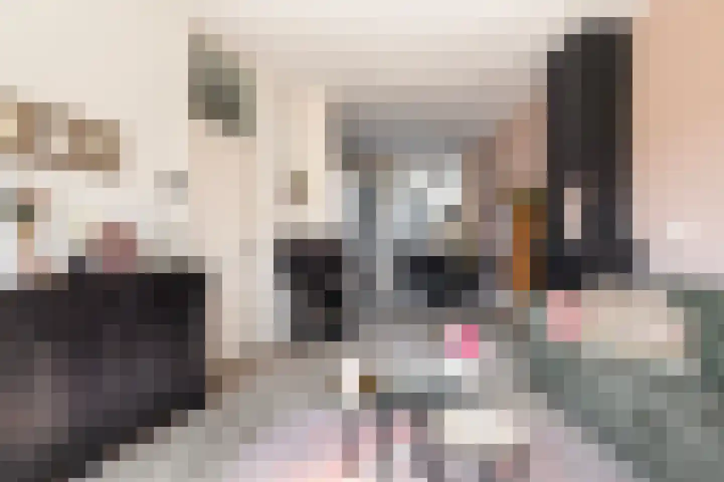 Azaleastraat 91 Leeuwarden thumbnail 7