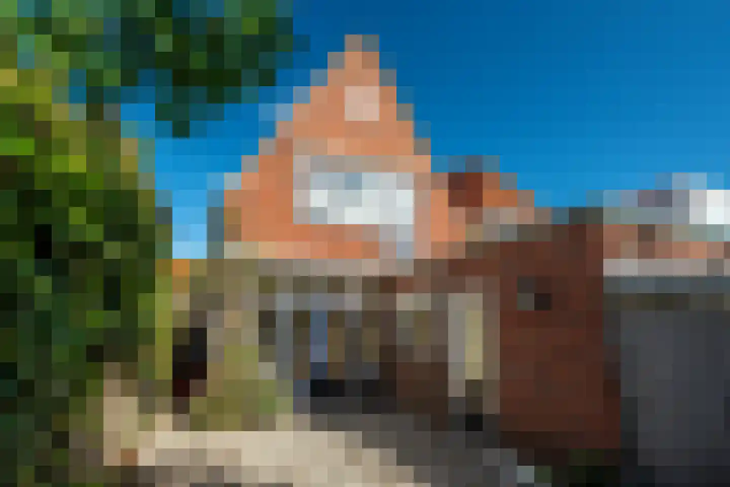 Azaleastraat 96 Leeuwarden thumbnail 34