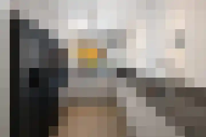 Azaleaveld 1 Nieuwerkerk aan den IJssel thumbnail 11