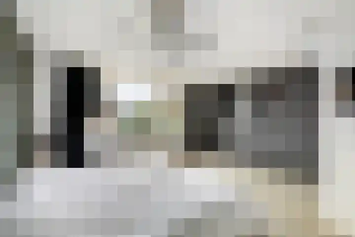 Azaleaveld 1 Nieuwerkerk aan den IJssel thumbnail 15