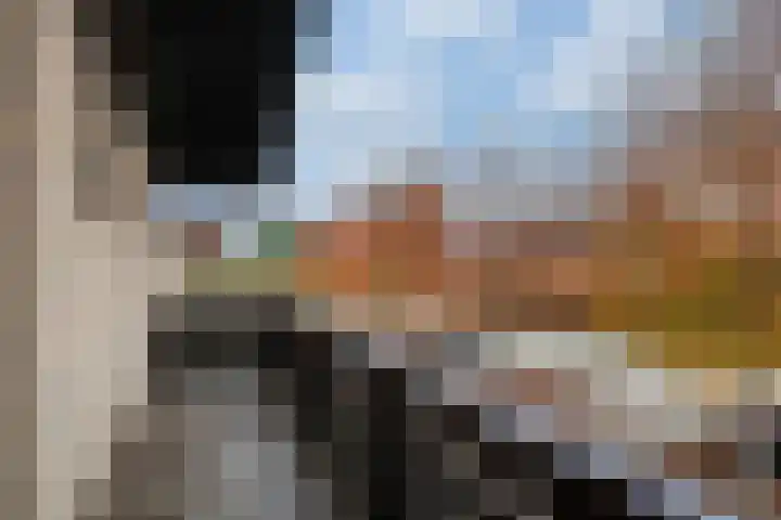 Azaleaveld 1 Nieuwerkerk aan den IJssel thumbnail 17