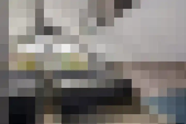 Azaleaveld 1 Nieuwerkerk aan den IJssel thumbnail 18