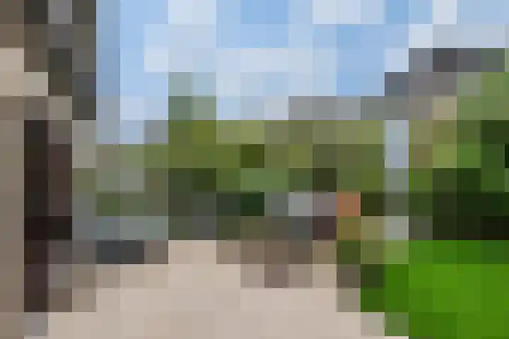 Azaleaveld 1 Nieuwerkerk aan den IJssel thumbnail 26