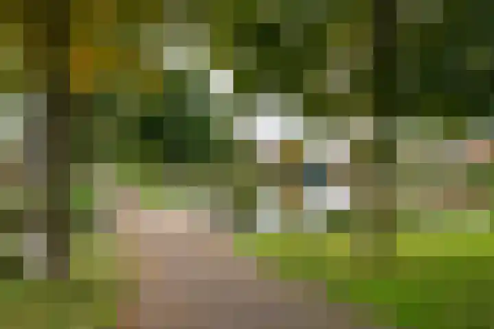 Azaleaveld 1 Nieuwerkerk aan den IJssel thumbnail 33