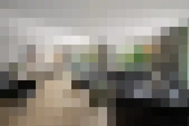 Azaleaveld 1 Nieuwerkerk aan den IJssel thumbnail 4