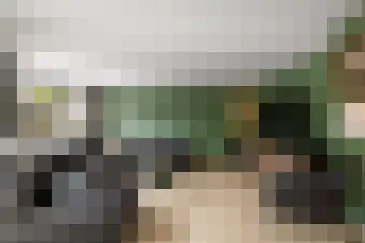 Azaleaveld 1 Nieuwerkerk aan den IJssel thumbnail 5