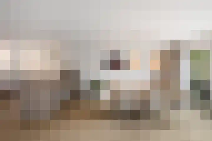 Azaleaveld 1 Nieuwerkerk aan den IJssel thumbnail 8