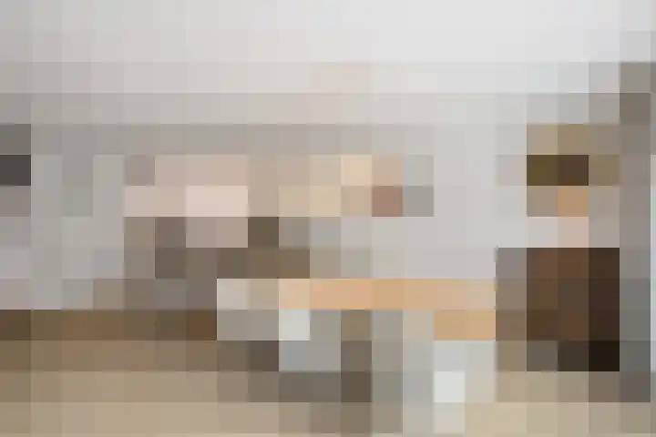 Azaleaveld 1 Nieuwerkerk aan den IJssel thumbnail 9