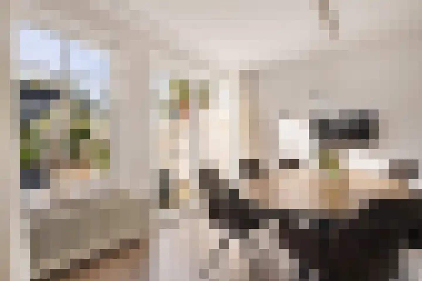 Azaleaweg 4 Paterswolde thumbnail 10
