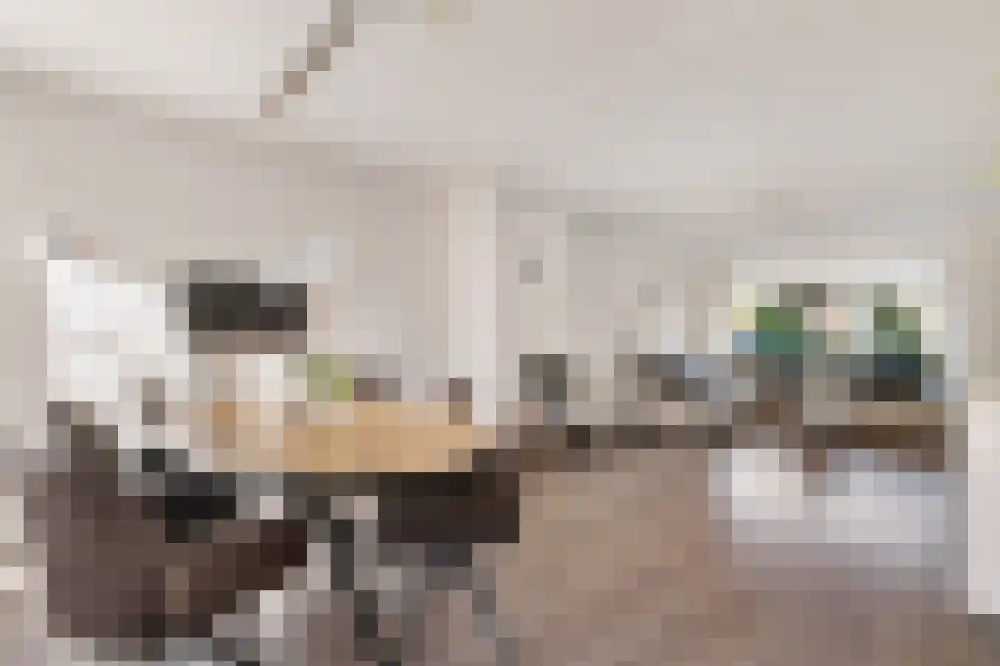 Azaleaweg 4 Paterswolde thumbnail 11