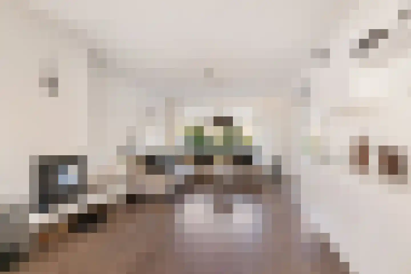 Azaleaweg 4 Paterswolde thumbnail 12