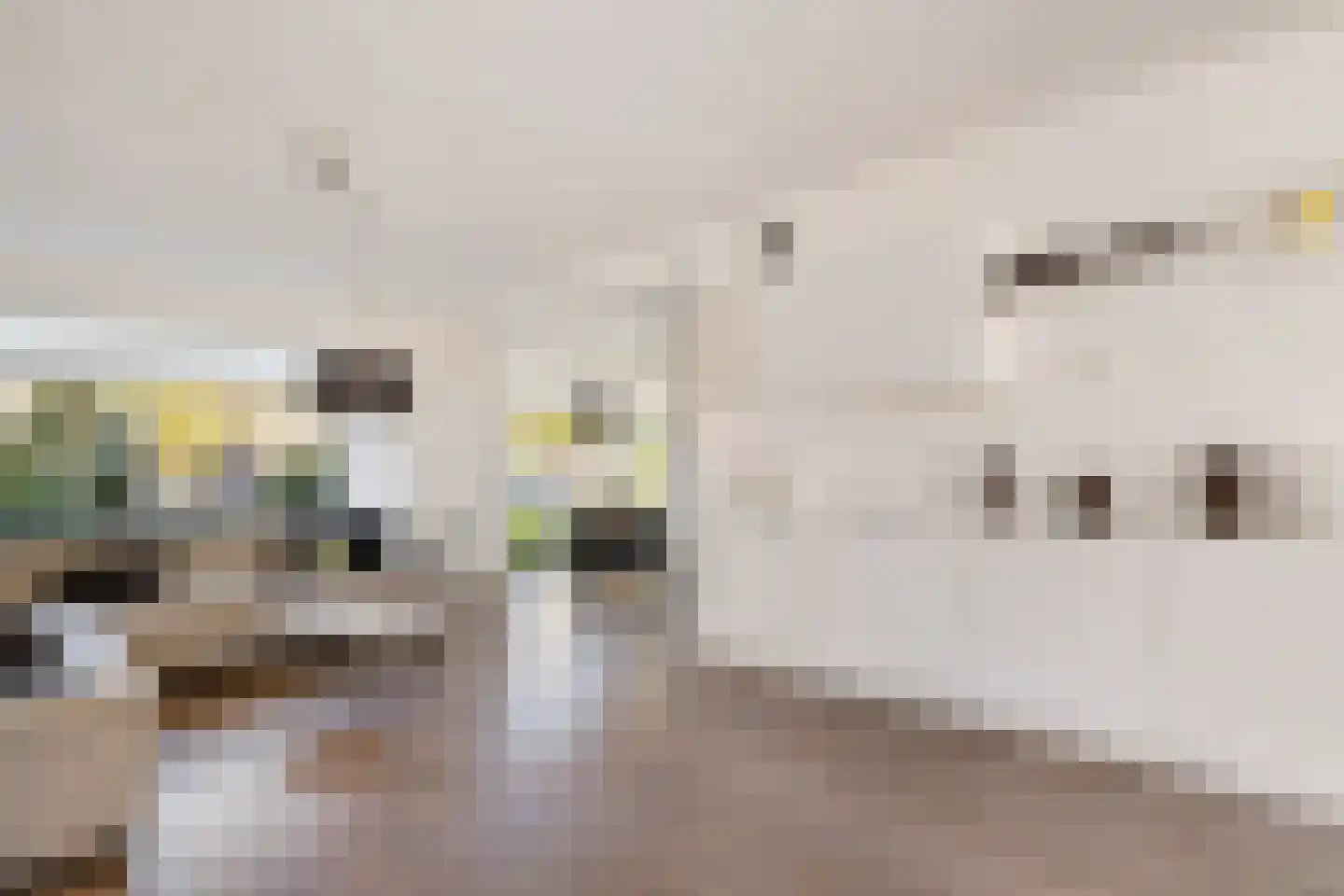 Azaleaweg 4 Paterswolde thumbnail 13