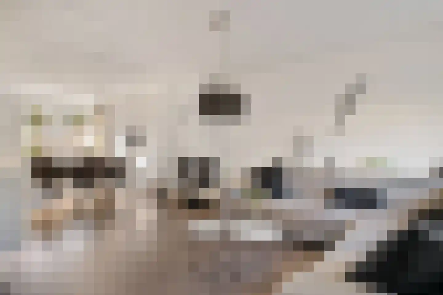 Azaleaweg 4 Paterswolde thumbnail 16