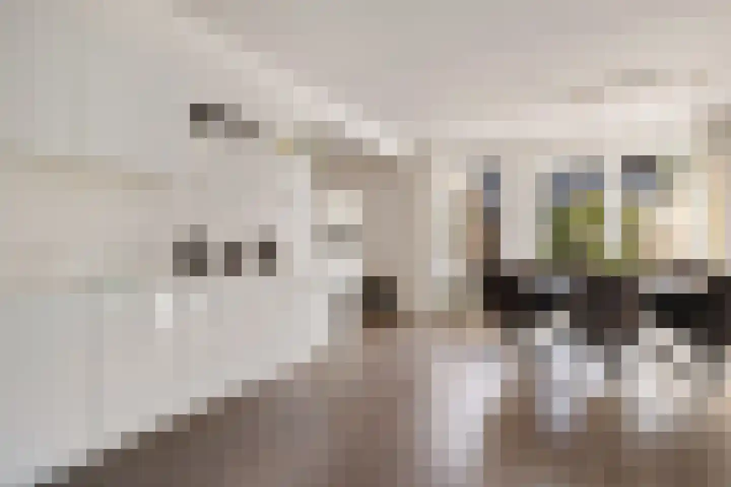 Azaleaweg 4 Paterswolde thumbnail 17