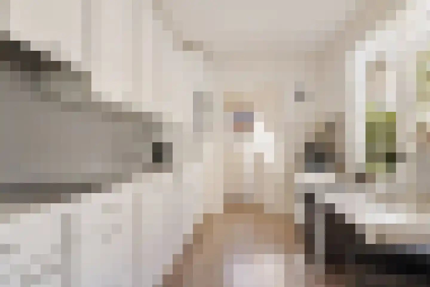 Azaleaweg 4 Paterswolde thumbnail 18