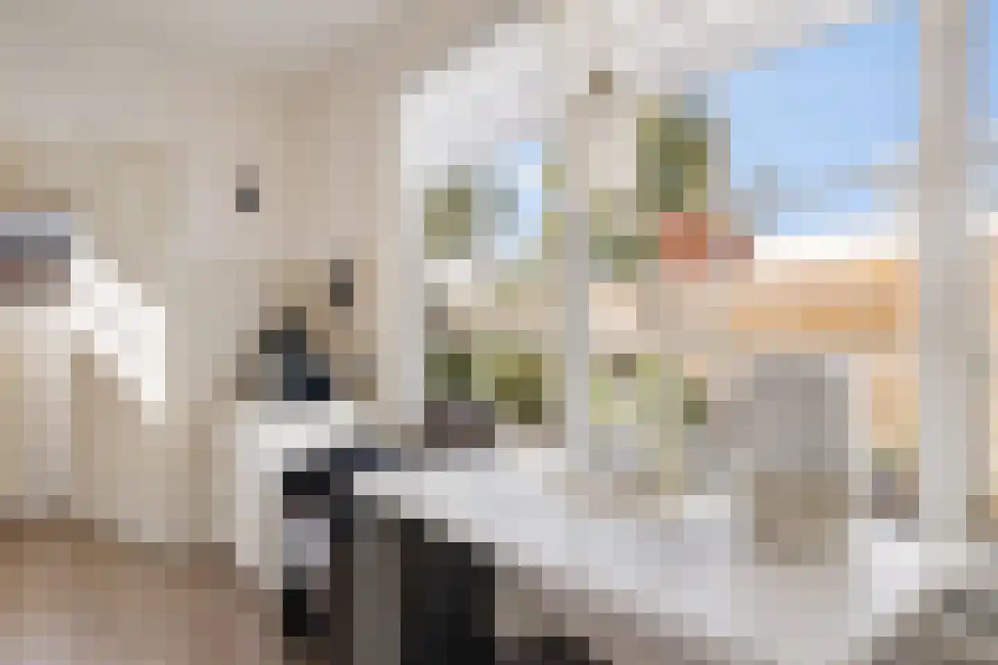 Azaleaweg 4 Paterswolde thumbnail 19