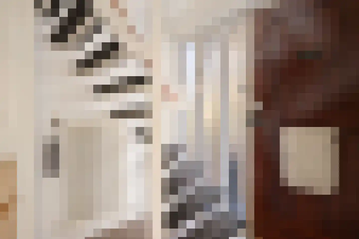 Azaleaweg 4 Paterswolde thumbnail 21