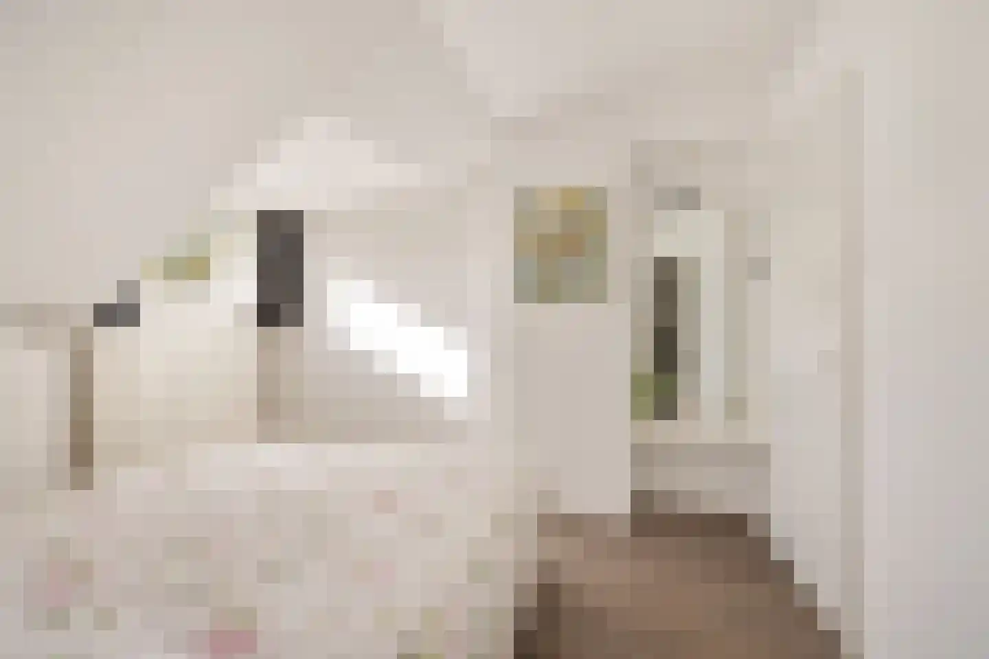 Azaleaweg 4 Paterswolde thumbnail 22