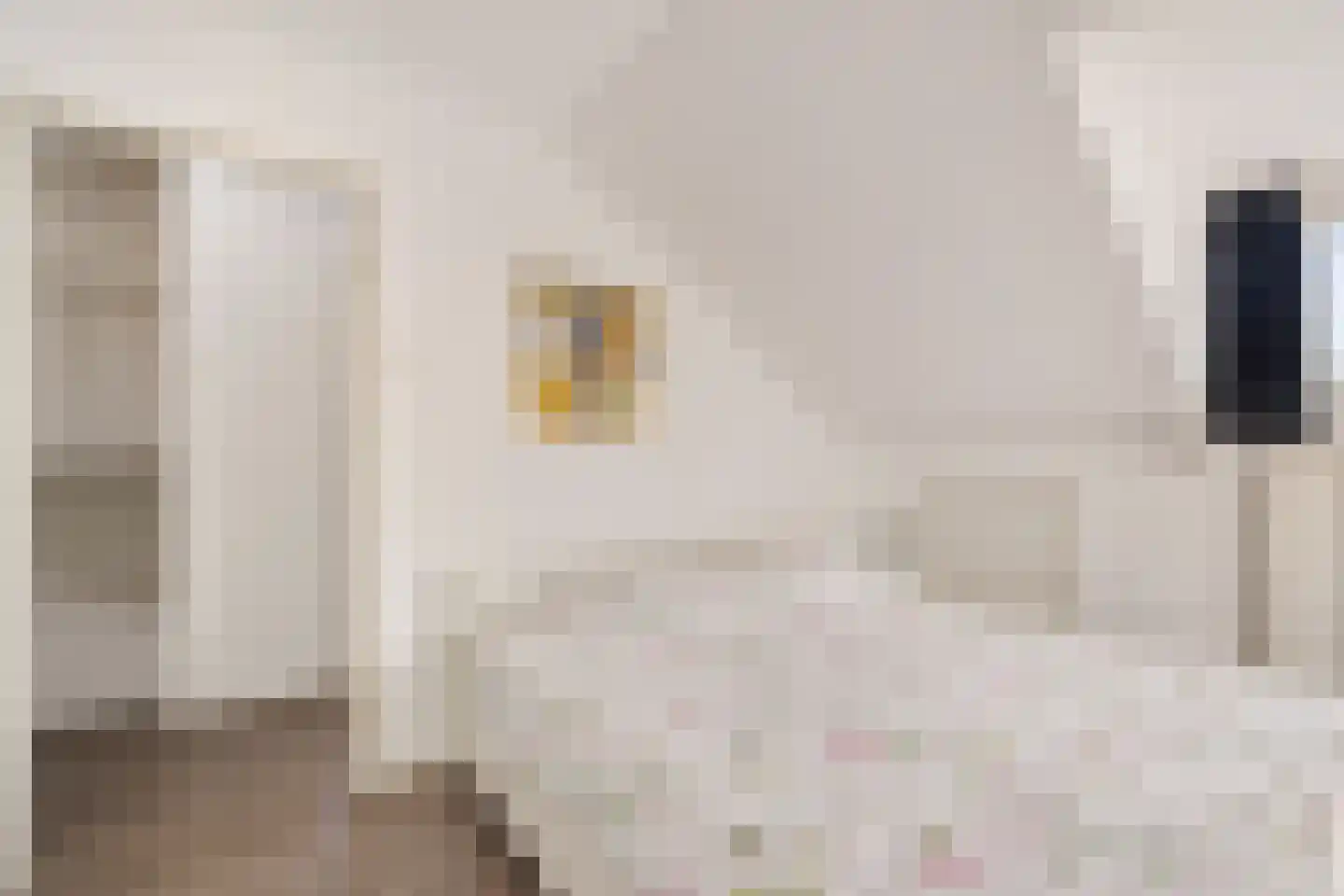Azaleaweg 4 Paterswolde thumbnail 23