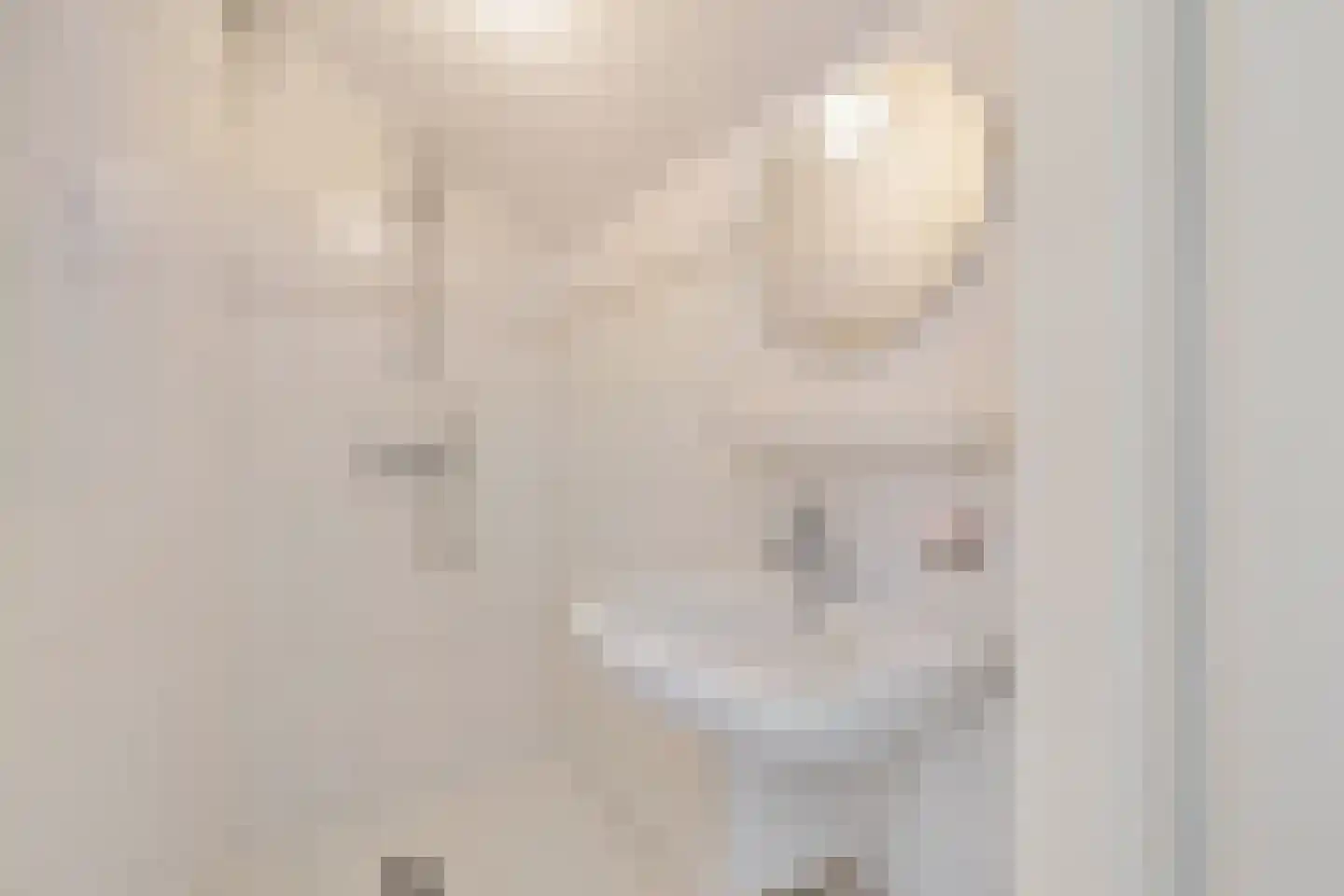 Azaleaweg 4 Paterswolde thumbnail 25