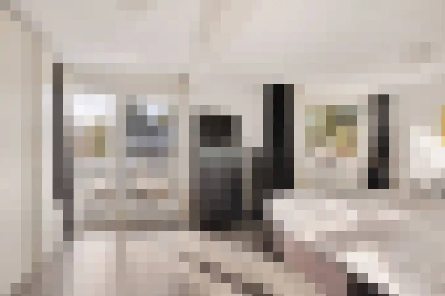 Azaleaweg 4 Paterswolde thumbnail 32